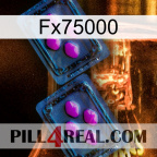 Fx75000 03